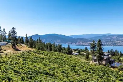 Image de \"The Vino Vista\" | 10 Acre Winery | Lakeview