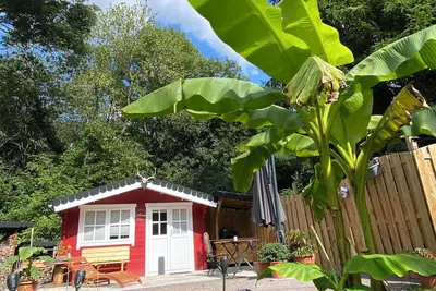 Image de Small cozy forest cottage🏡 in Leipzig right on the edge of the forest to enjoy😊