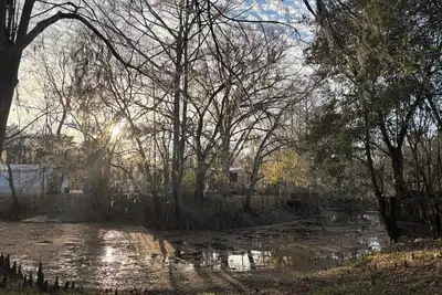 Image de Cozy 2-bedroom cottage in beautiful Bushnell with Ac