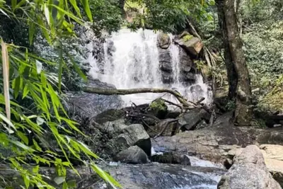 Image de A private waterfall, a coffee farm and best home food in Coorg - all to yourself