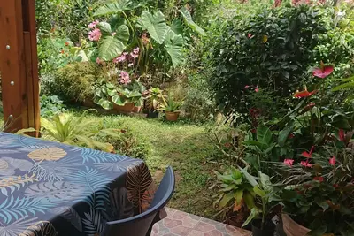 Image de L'Hibiscus\nCharme et confort\nJardin créole