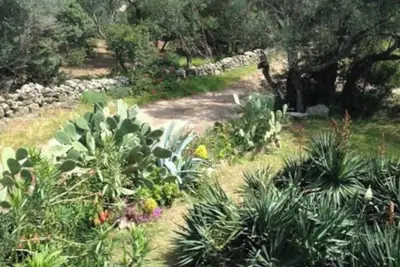 Image de Mini Villa St Cyprien