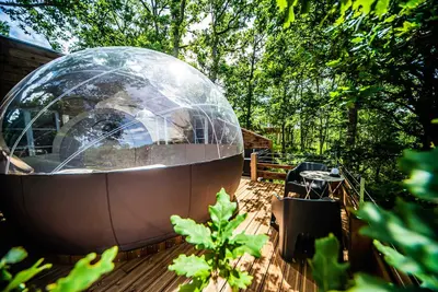 Image de La Canopée