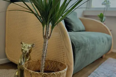 Image de Bolhão Luxury Retreat 1