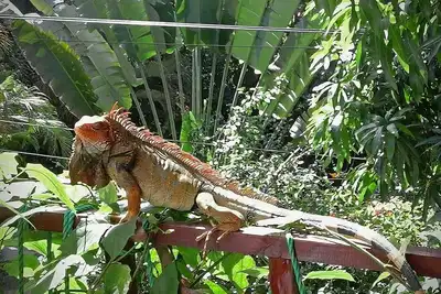 Image de Principe del Pacifico