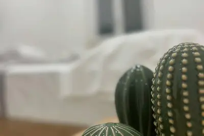 Image de Still House 1907