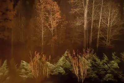 Image de Serenity Retreat - Mountain Escape- Grandview Peaks