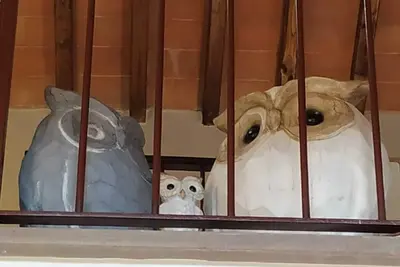 Image de The three owls of san gimignano