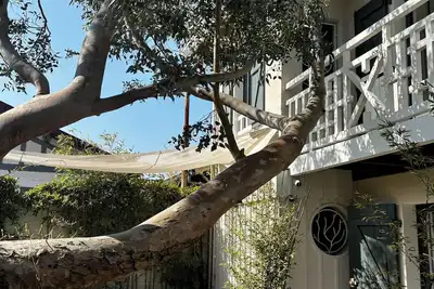 Image de Charmante Arcachonnaise proche plages et port pour 6 personnes
