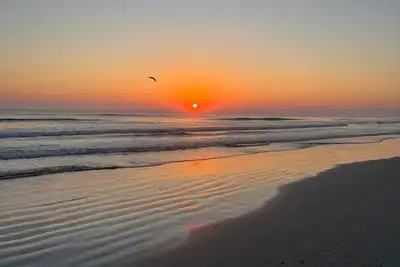 Image de Tropical Riverside Oasis with Private Pool • Near drive-on beach & river access