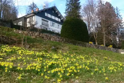 Image de Grand appartement dans une villa des années 50, avec jardin et vue sur le lac.