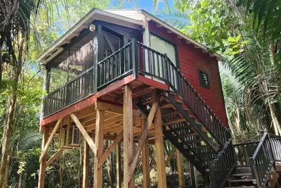 Enchanted Jungle Treehouse