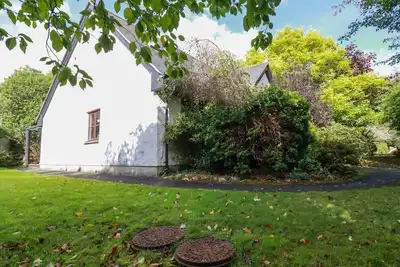 Clematis - Lodge 16 Wadebridge