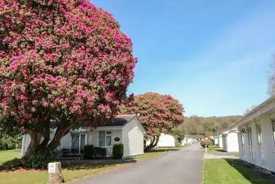Image de Willow Lodge, Liskeard