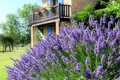 Image de Belle maison Périgourdine pour parenthèse nature prés de Bergerac