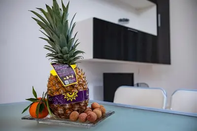 Image de Suitable For Families And Couples