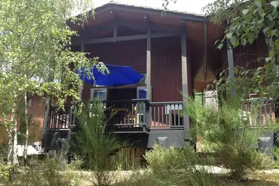 Image de chalet dans les pins