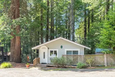 Image de Green Tree Cottage | 1 Br Vacation Cabin among the coastal redwoods