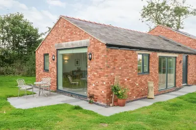 Curlew near Tilston, Cheshire.