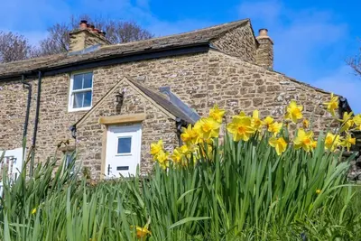 Image de Swinhope View, Hexham