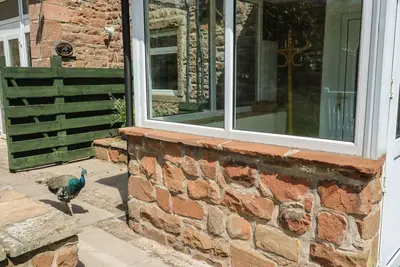 Image de Charming Mousehole Cottage Retreat