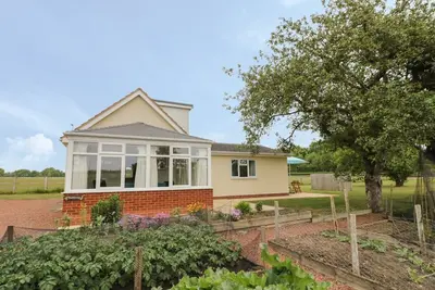 Image de Buttercups at Midway, Kington