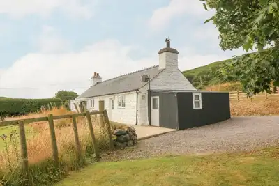 Charming Ty Hen in Anelog