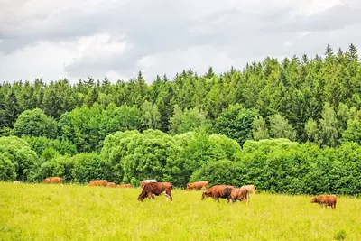 Image de Joli appartement dans une maison de vacances avec Wifi, climatisation, bain à remous, Tv, terrasse