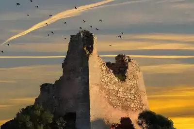 Image de Maison de vacances « Maria Apartment Nardò » avec terrasse partagée et jardin privé