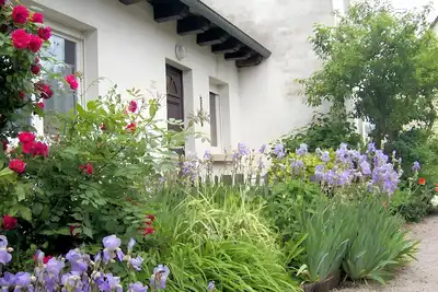 Image de Gîte de plain-pied en centre alsace proche de sélestat