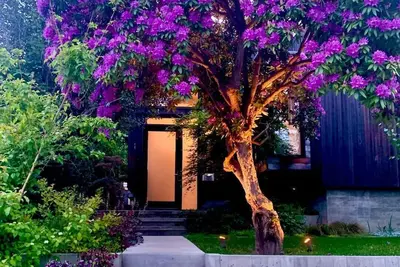 Image de Wonderful Arboretum 3br custom home w/spectacular outdoor living