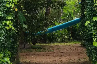 Image de Kadingis homestay and eco tourism