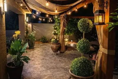 Image de The Cozy Inn