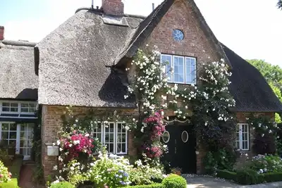 Image de Reethus in Borgsum: 121 m², sauna, fireplace & garden, 5 stars