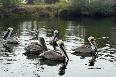 Image de Cozy 2-bedroom house in peaceful Hudson on a canal