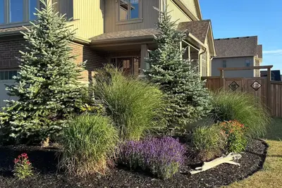 Image de Beautiful Collingwood home!