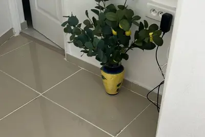 Image de Spacieux appartement  à 2 mn à pied de la gare d'argenteuil.