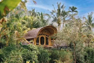 Image de Aura Cendana Hill Sidemen