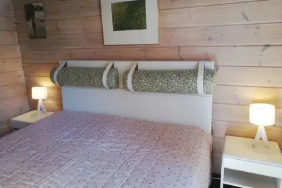 Image de Living like the Finns