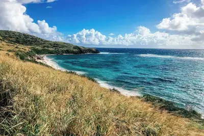 Image de Sea Forever - Breathtaking Views Of Buck Island National Park!