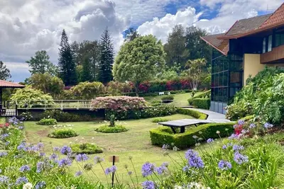 Image de Cozy Family home-Gardens & Work-Friendly