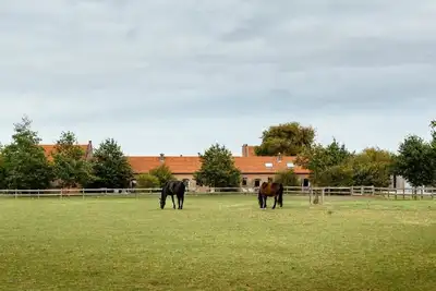 Image de Het Zwaluwnest