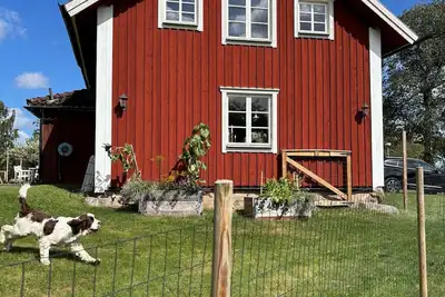 Image de Cozy dog and child friendly cottage near bathing lake