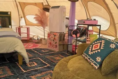 Image de Dolly’s Disco Yurt, fluffy, sheep, llamas, and shaggy cows