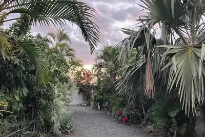 Image de Location T3 meublée – Duranta - Séjour détente avec piscine.