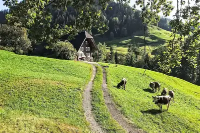 Image de Rüttimätteli by Interhome