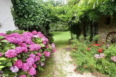 Image de Joli gite à Rocamadour entouré de verdure. Vos animaux sont acceptés.
