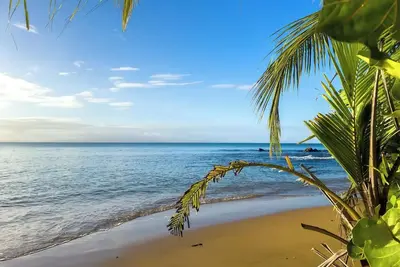 Image de Central Vieques 2br Walk to Ferry, Beach & Plaza