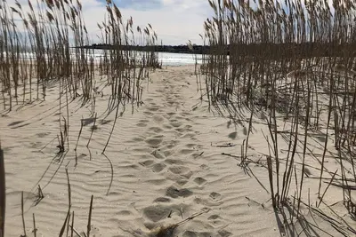 Image de Bonnet Shores Escape - 3br Steps to Little Beach!