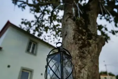 Image de Casas do Pargo - Oak Tree House